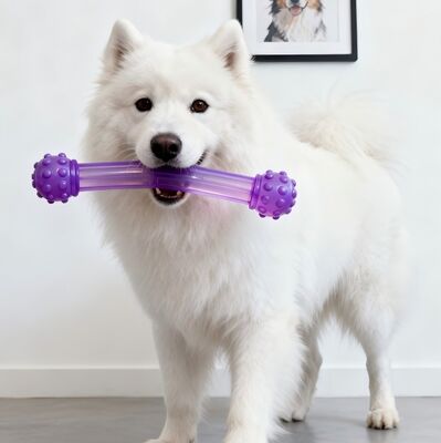 TPU ad alta trasparenza, ultra trasparente, resistente, rimbalzo per strisce leggere, giocattoli per animali domestici, tubi estrusi